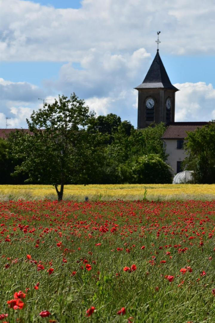 Bergerie Francique * Lachaussee