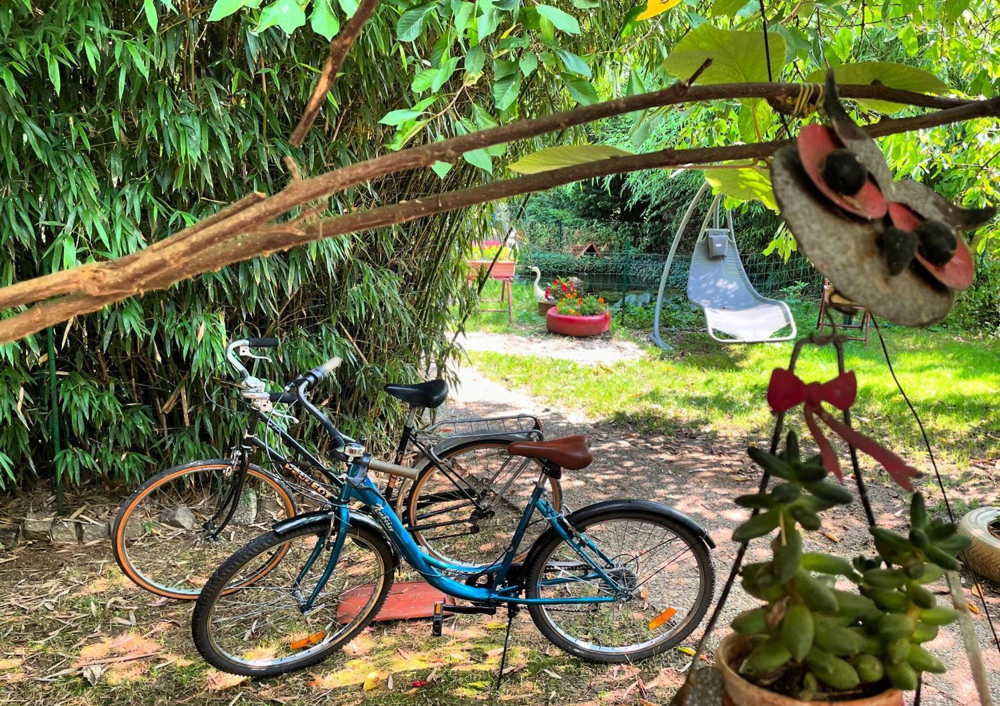 Homestay Bergerie Francique *